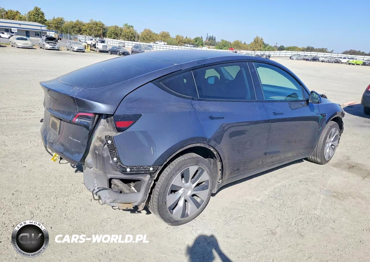 2023 Tesla Model Y VIN:7SAYGDEE6PF711761 - 3