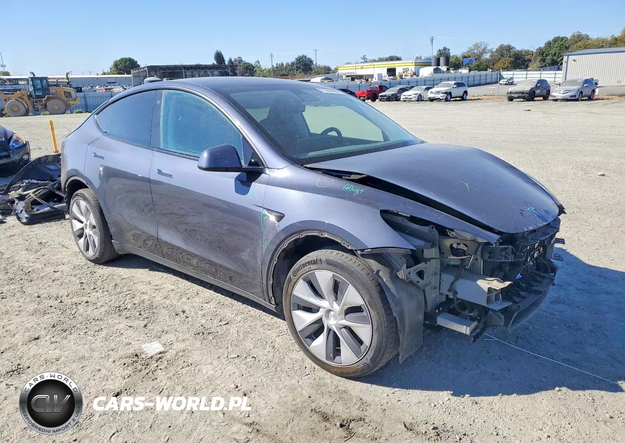 2023 Tesla Model Y VIN:7SAYGDEE6PF711761 - 4