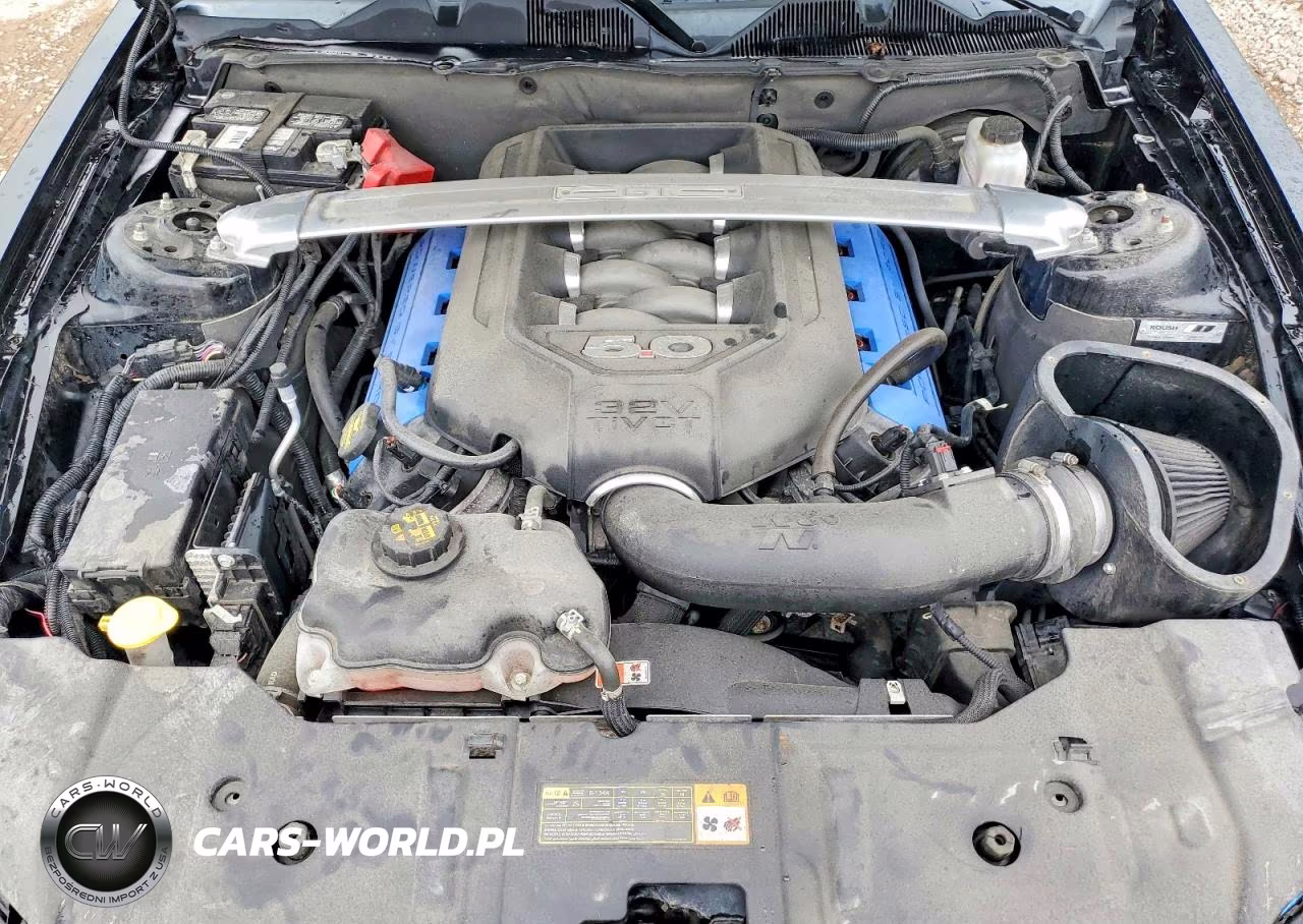 2013 Ford Mustang Gt Premium VIN:1ZVBP8CF9D5262799 - 11