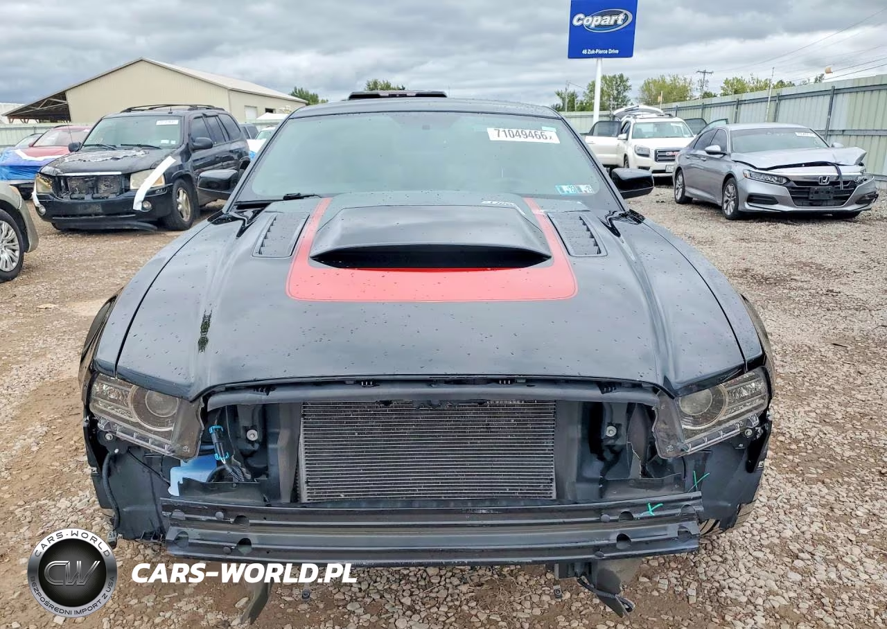 2013 Ford Mustang Gt Premium VIN:1ZVBP8CF9D5262799 - 5