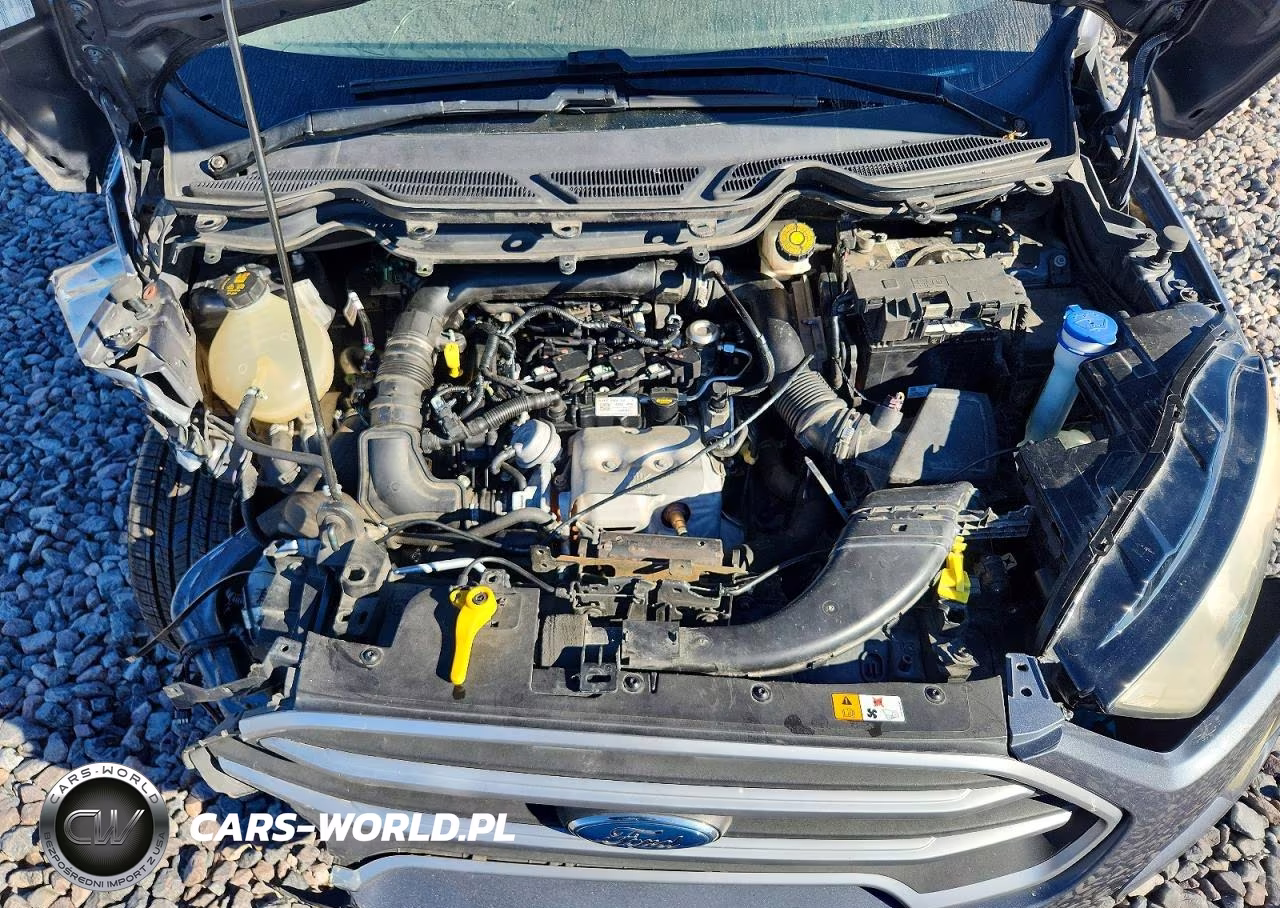 2018 Ford Ecosport Se VIN:MAJ3P1TE0JC239995 - 11