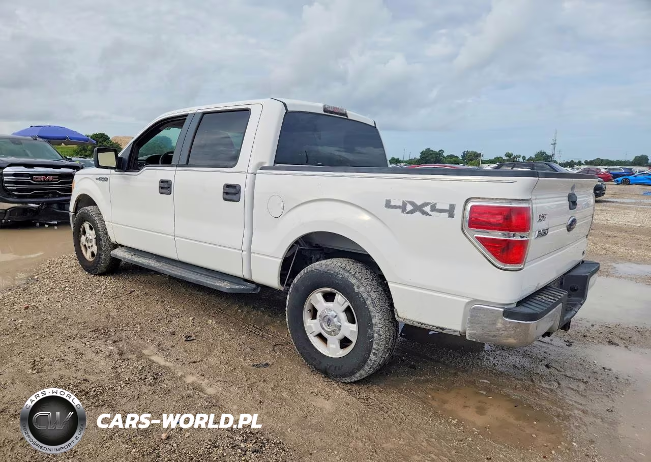2010 Ford F150 Supercrew VIN:1FTFW1EV4AKB25513 - 2