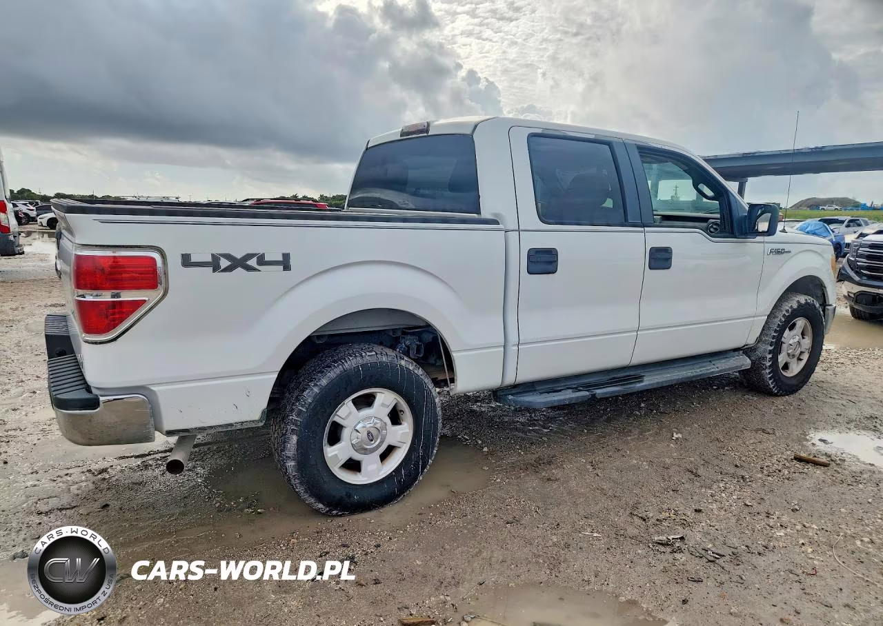 2010 Ford F150 Supercrew VIN:1FTFW1EV4AKB25513 - 3