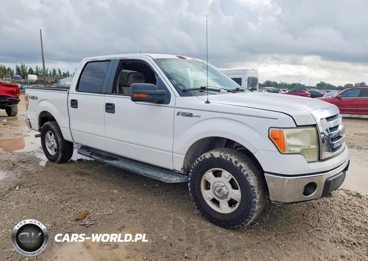 2010 Ford F150 Supercrew VIN:1FTFW1EV4AKB25513 - 4