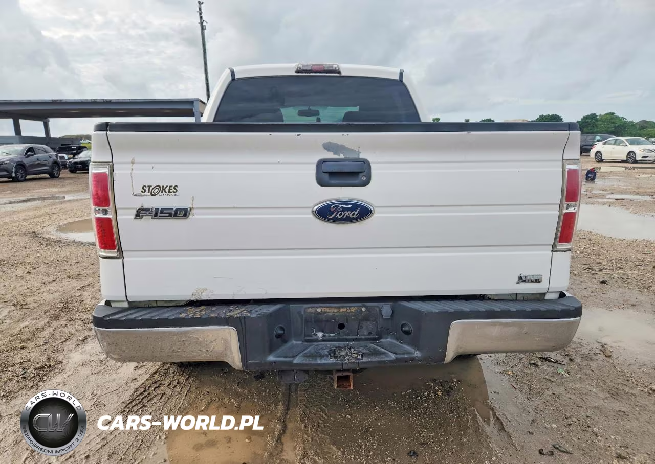 2010 Ford F150 Supercrew VIN:1FTFW1EV4AKB25513 - 6