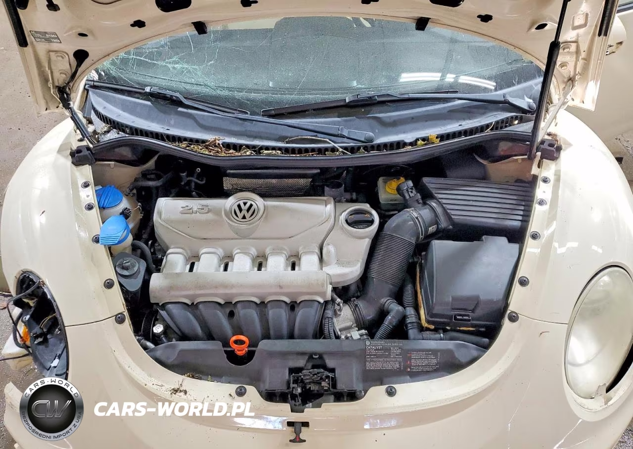 2008 Volkswagen New Beetle S VIN:3VWRG31C98M500399 - 11