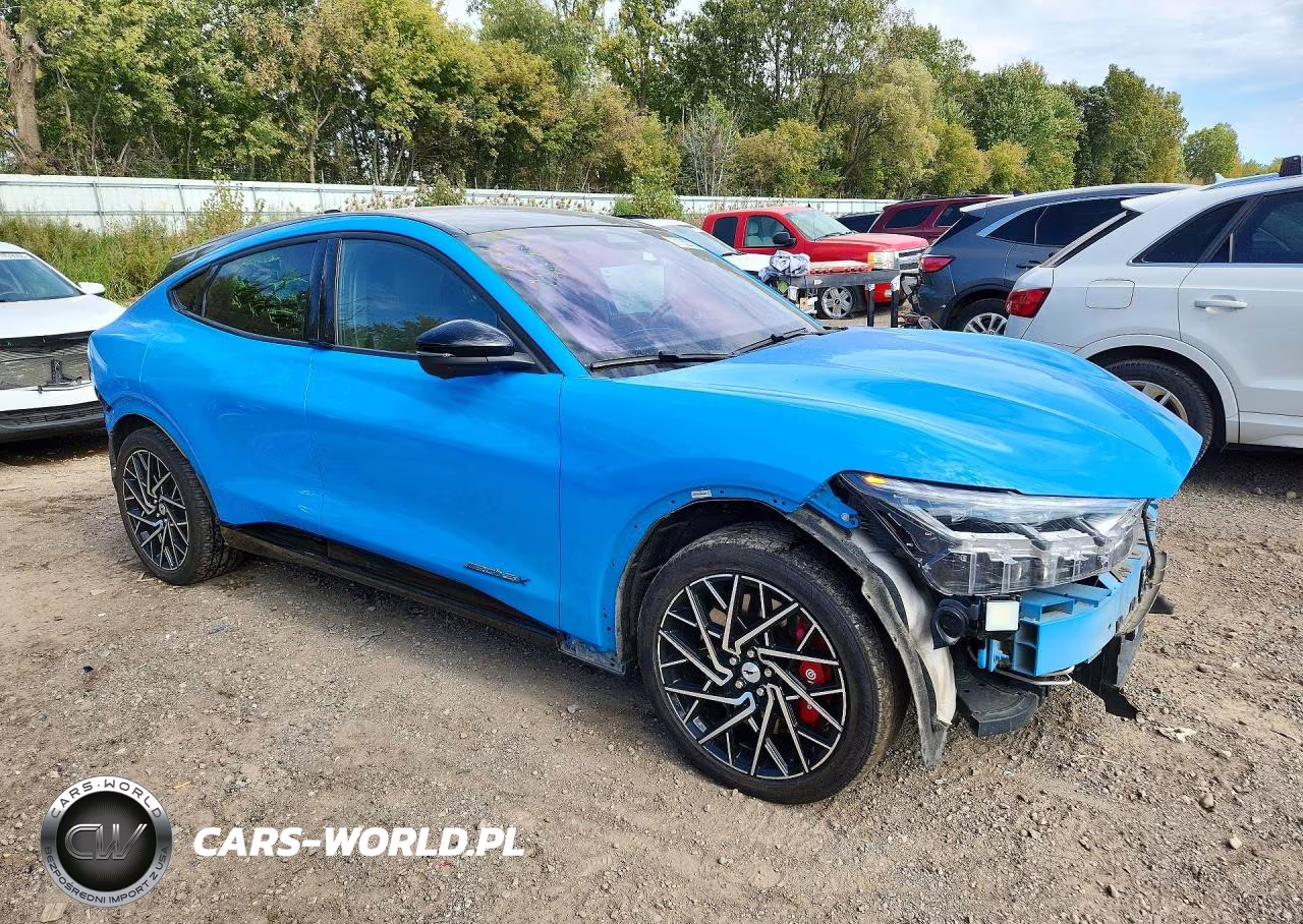 2021 Ford Mustang Mach-E Gt VIN:3FMTK4SXXMME00879 - 4