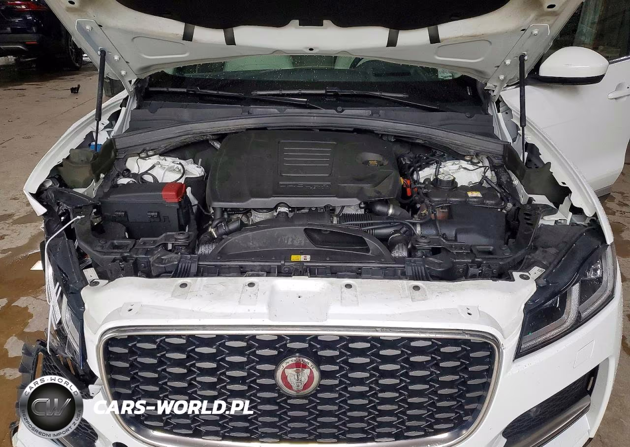 2023 Jaguar F-Pace S VIN:SADCJ2EX0PA715364 - 12