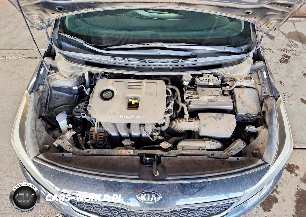 2017 Kia Forte Lx VIN:3KPFK4A73HE037943 - 11