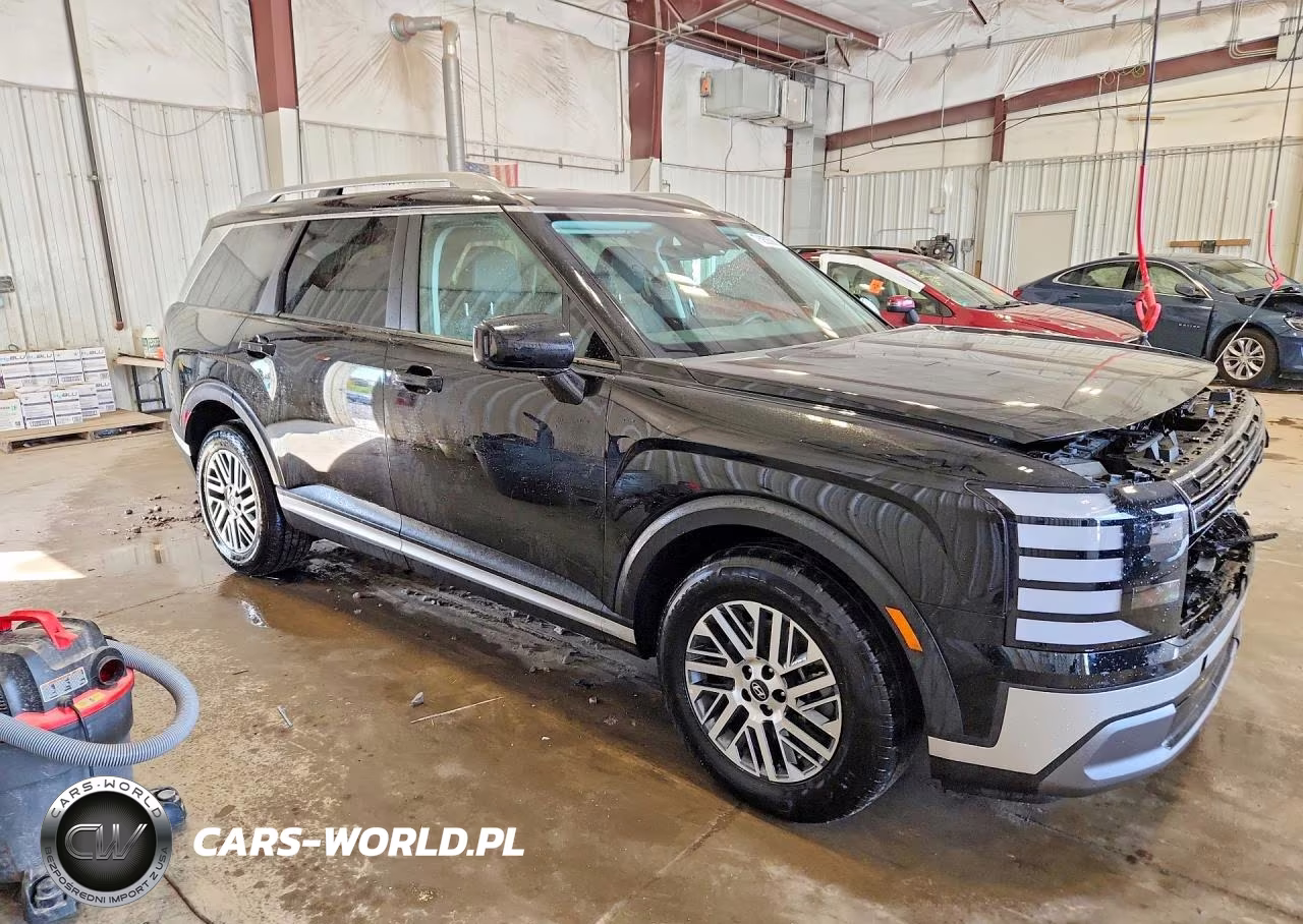 2026 Hyundai Palisade Sel VIN:KM8RLES27TU095837 - 4