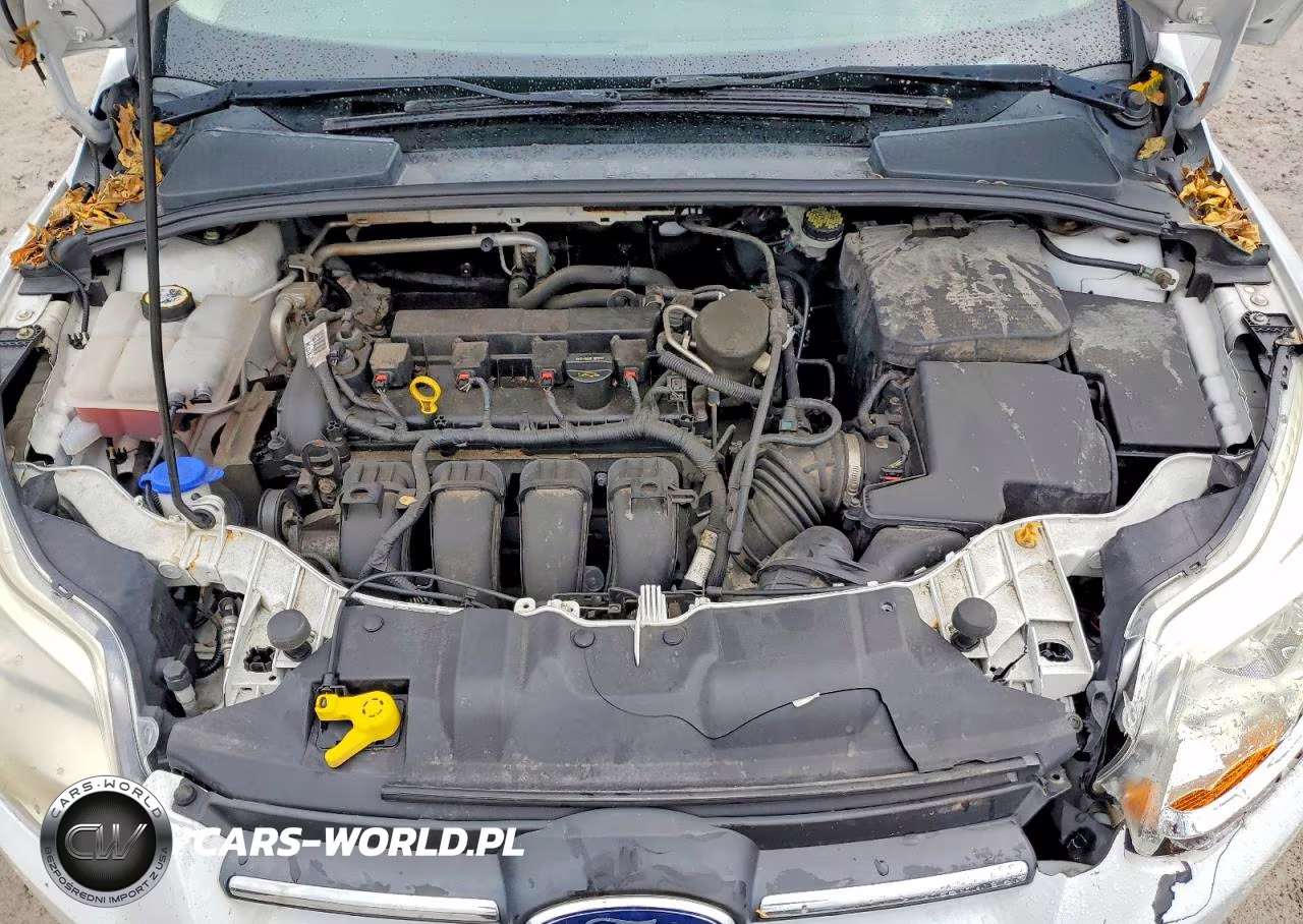 2014 Ford Focus Se VIN:1FADP3F29EL383116 - 11
