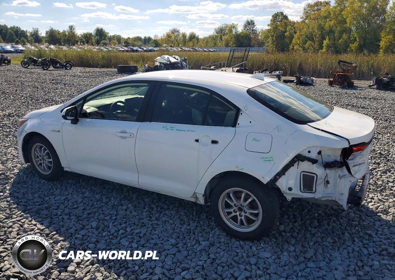 2020 Toyota Corolla Le VIN:JTDEBRBE7LJ029006 - 2