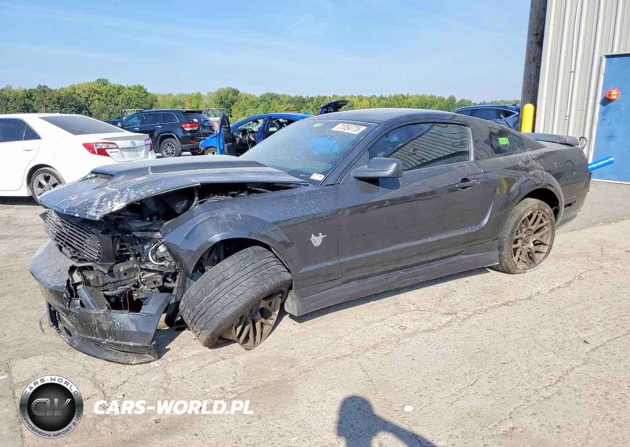 2009 Ford Mustang Gt VIN:1ZVHT82H395126989 - 1