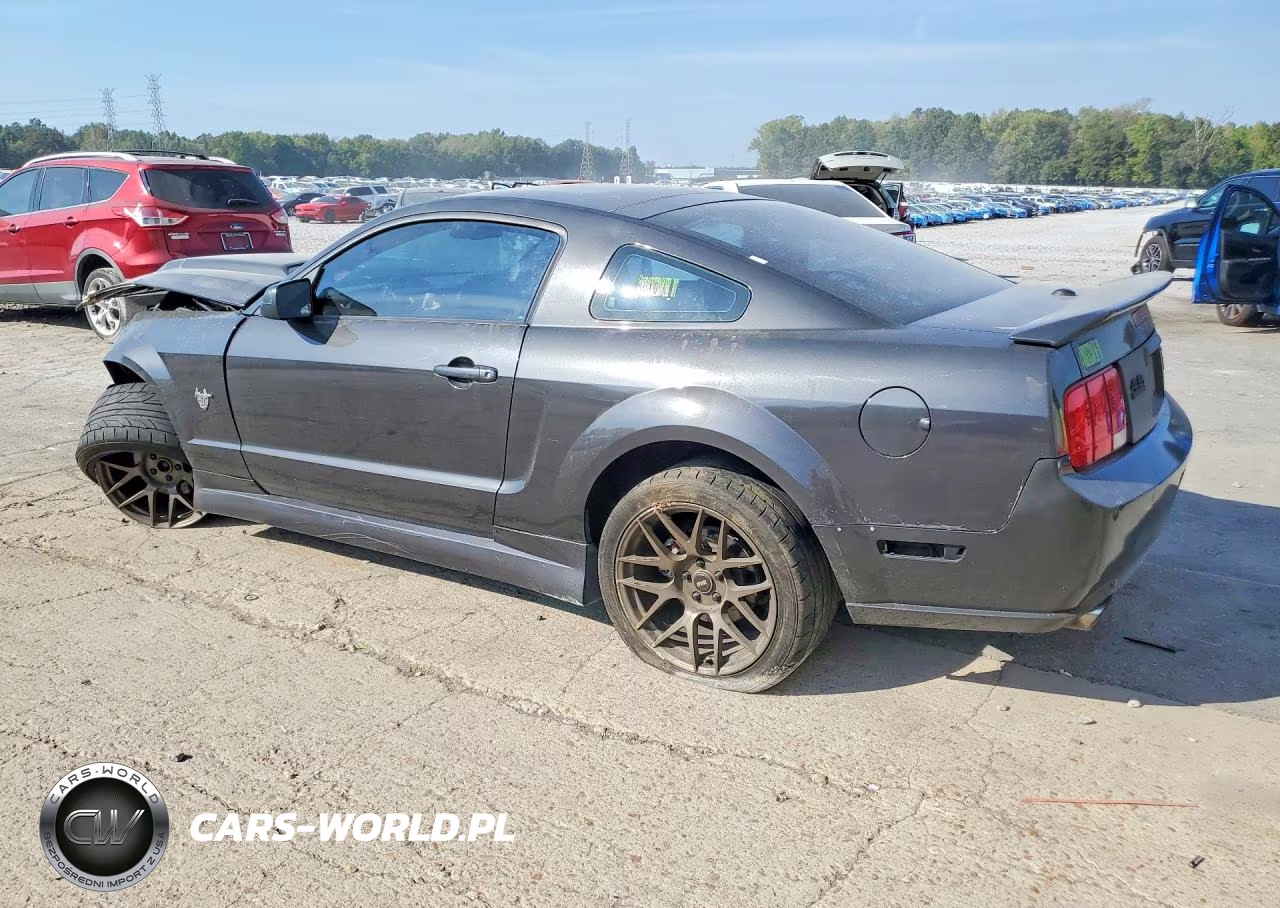 2009 Ford Mustang Gt VIN:1ZVHT82H395126989 - 2