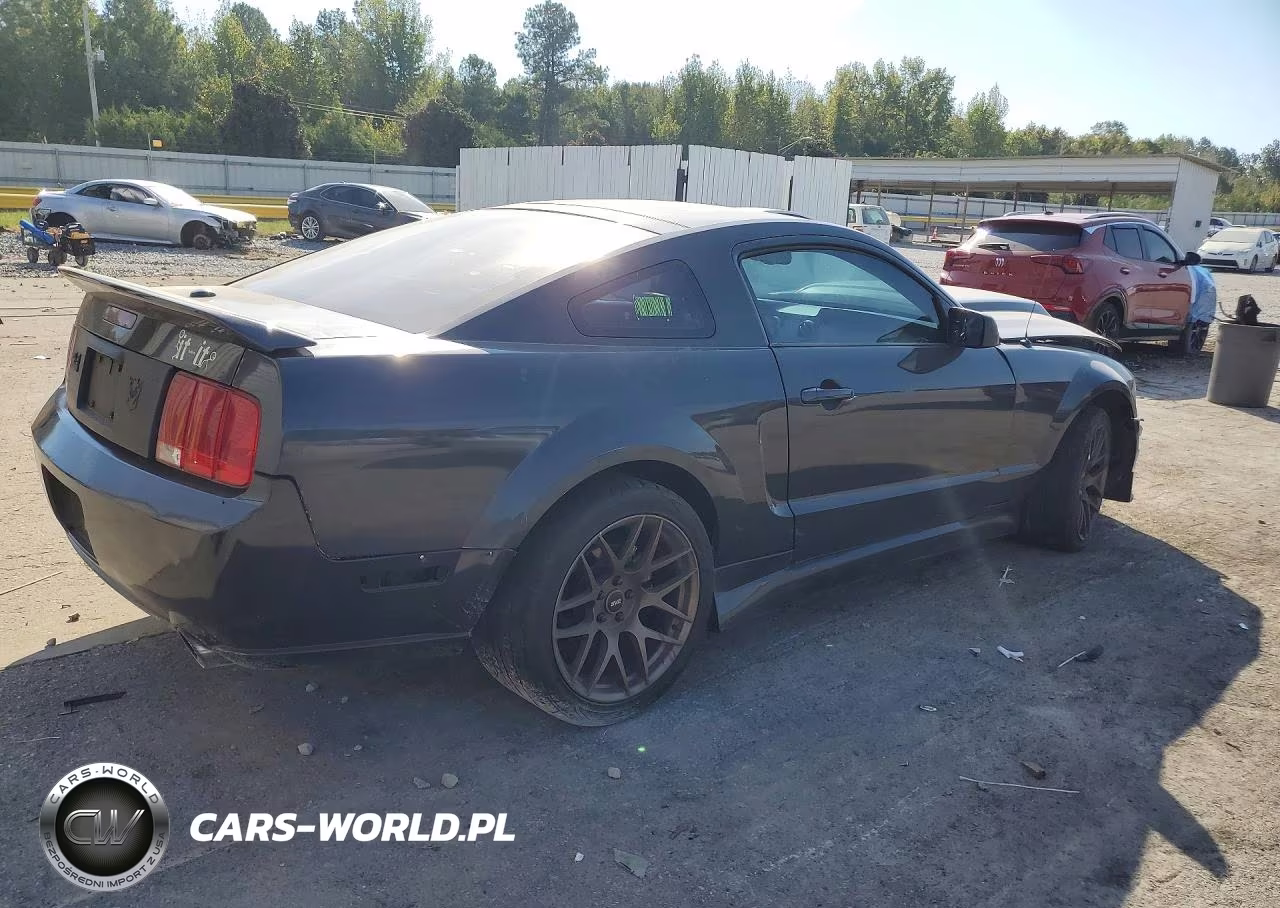 2009 Ford Mustang Gt VIN:1ZVHT82H395126989 - 3