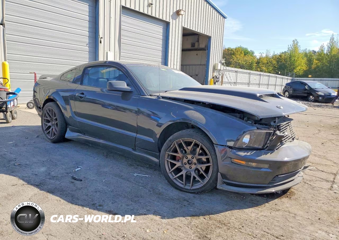 2009 Ford Mustang Gt VIN:1ZVHT82H395126989 - 4