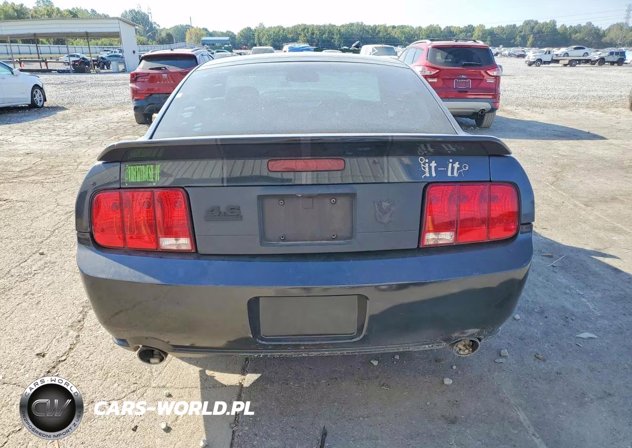 2009 Ford Mustang Gt VIN:1ZVHT82H395126989 - 6