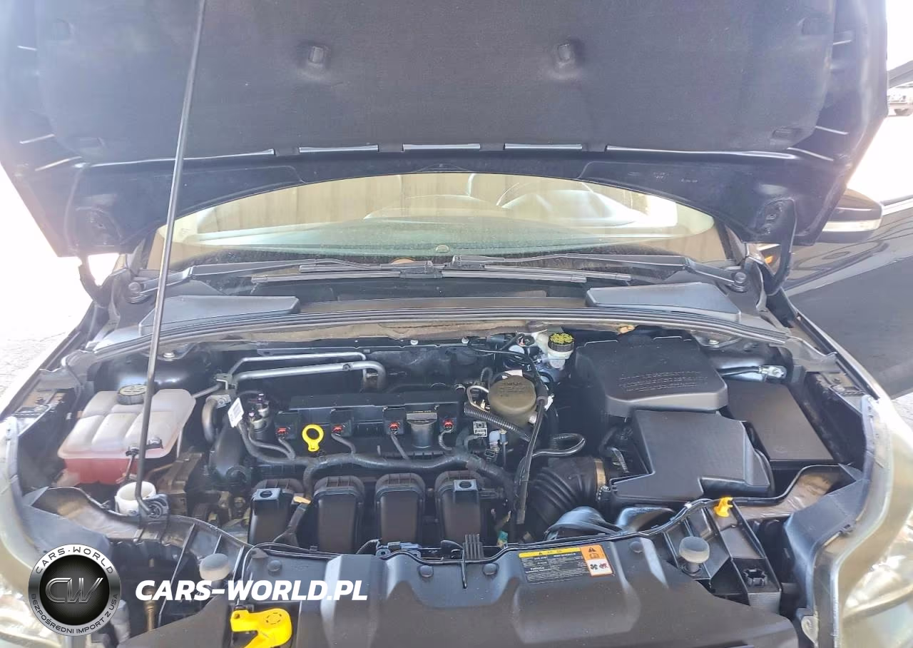 2013 Ford Focus Titanium VIN:1FADP3N20DL382596 - 11
