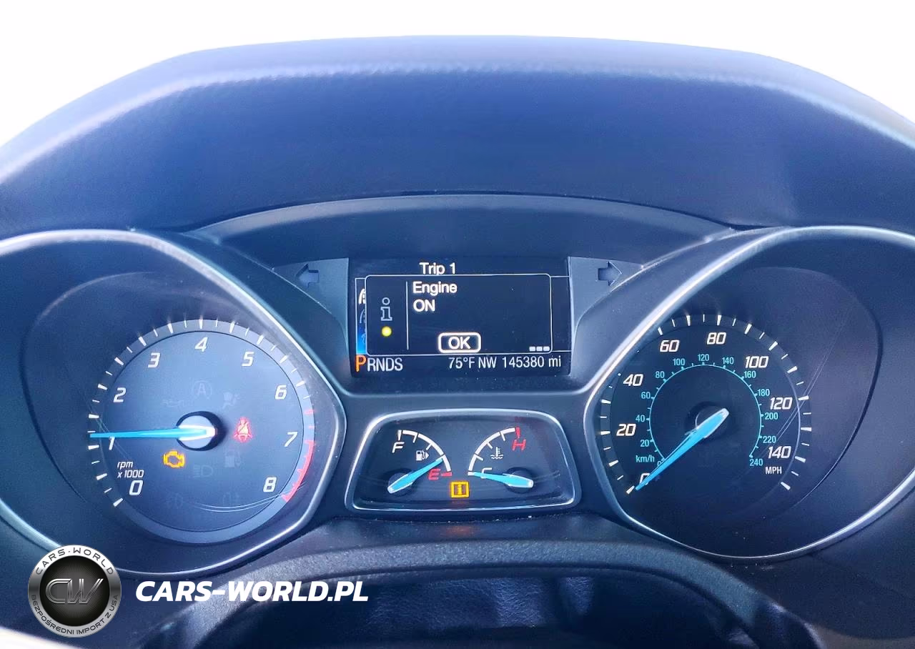 2013 Ford Focus Titanium VIN:1FADP3N20DL382596 - 9