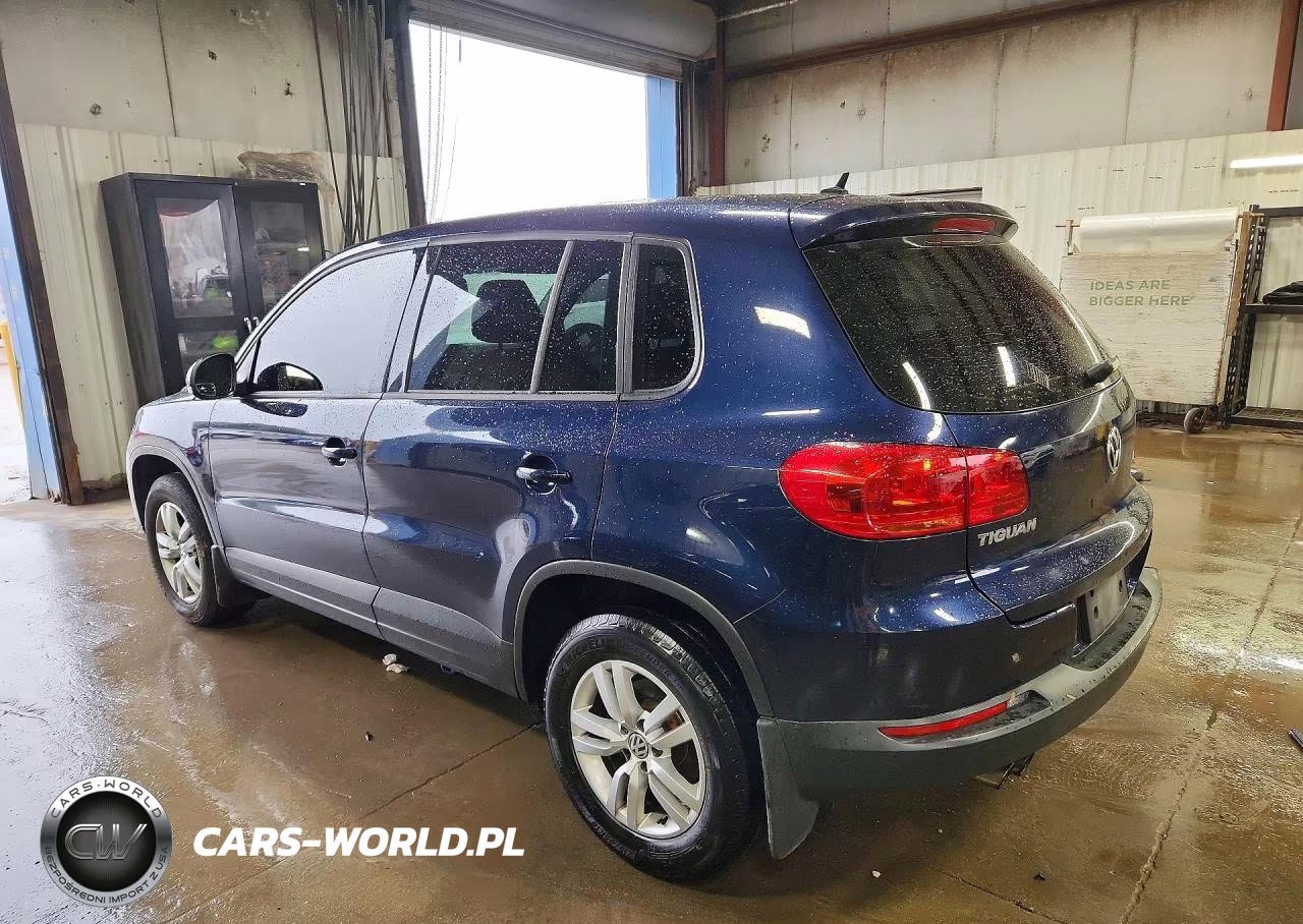 2013 Volkswagen Tiguan S VIN:WVGAV7AX4DW555641 - 2