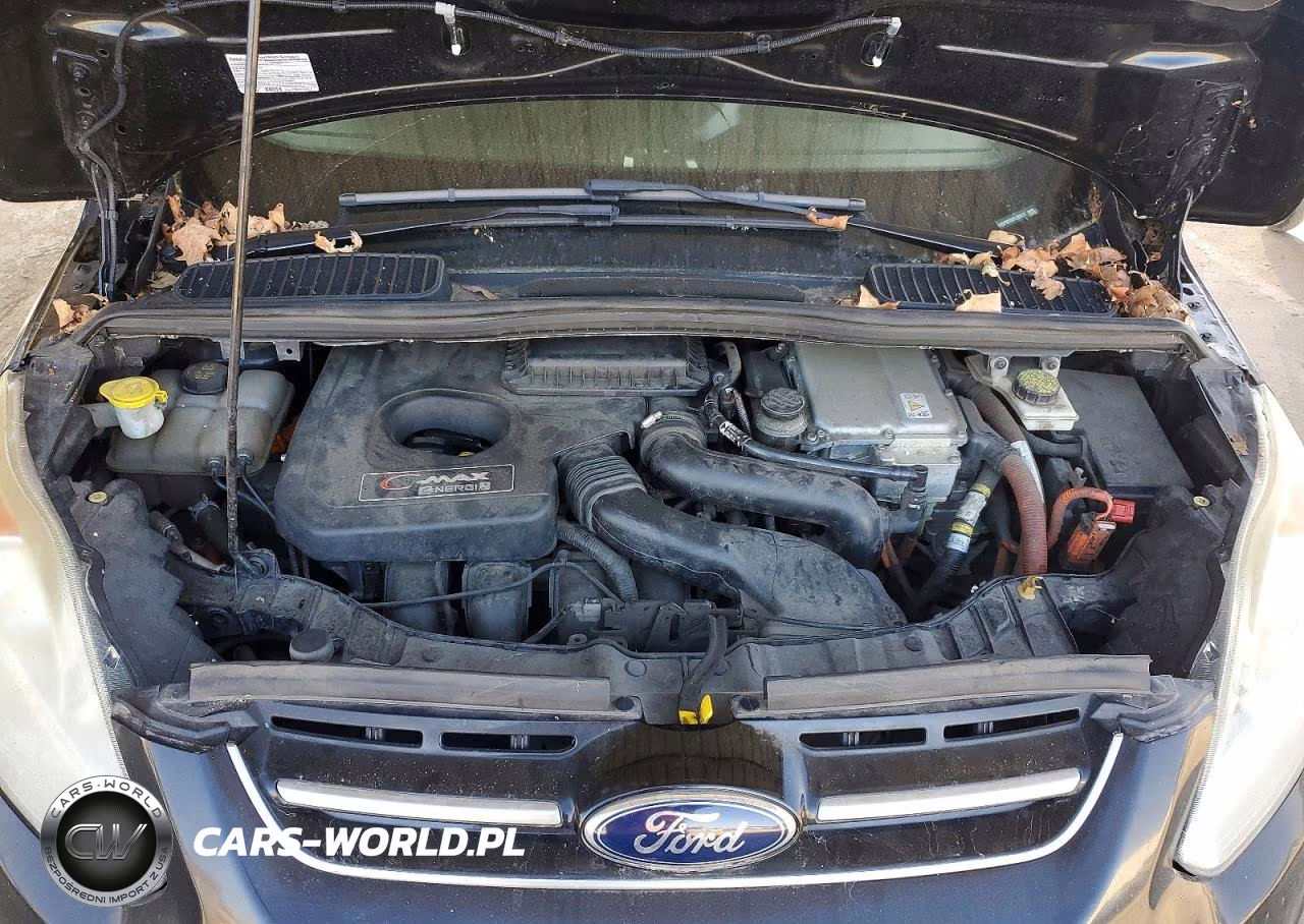 2015 Ford C-Max Premium Sel VIN:1FADP5CUXFL101617 - 11