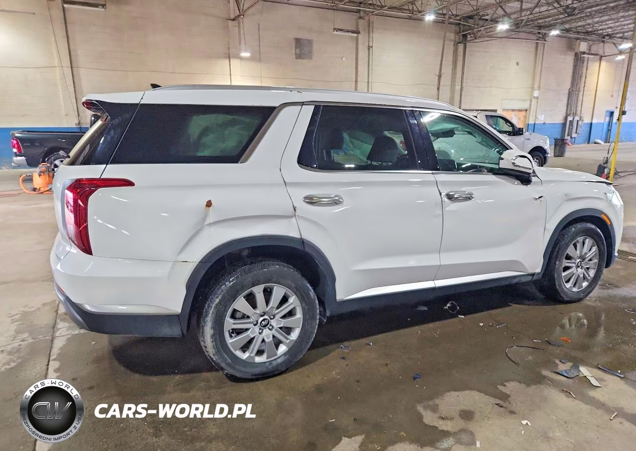 2024 Hyundai Palisade Sel VIN:KM8R24GE3RU786324 - 3