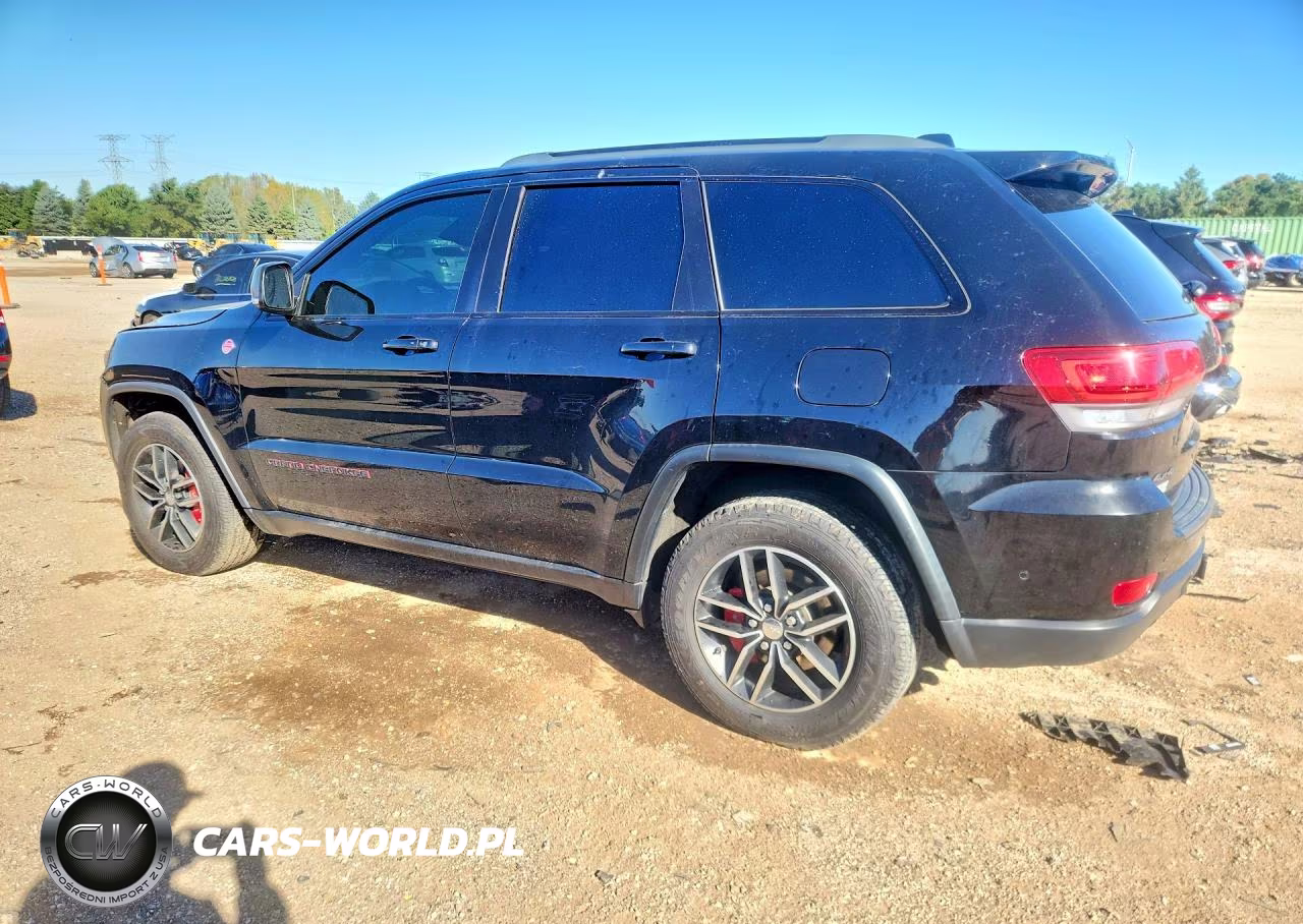 2018 Jeep Grand Cherokee Trailhawk VIN:1C4RJFLGXJC418968 - 2
