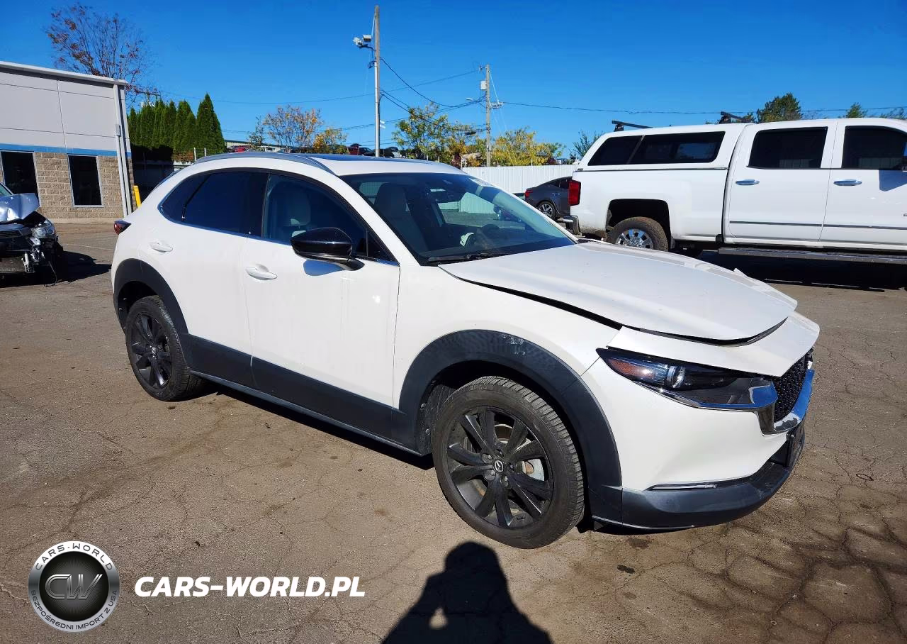 2022 Mazda Cx-30 Premium VIN:3MVDMBDYXNM414066 - 4