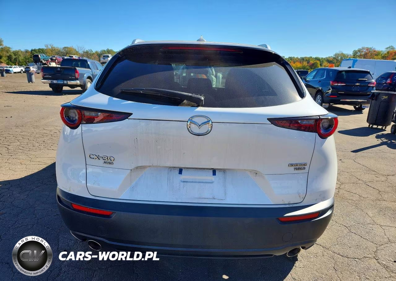 2022 Mazda Cx-30 Premium VIN:3MVDMBDYXNM414066 - 6