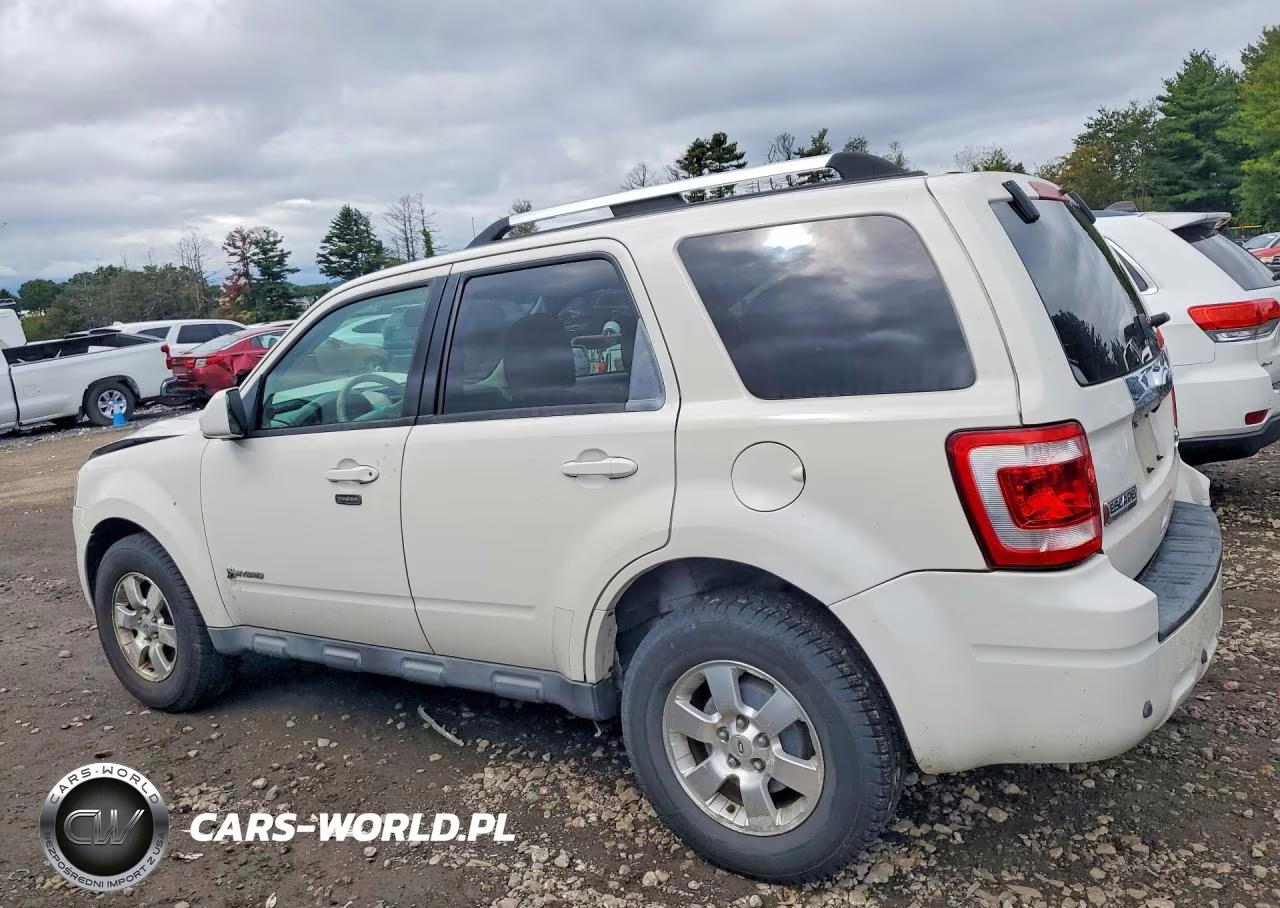 2010 Ford Escape Hybrid VIN:1FMCU5K34AKC15405 - 2