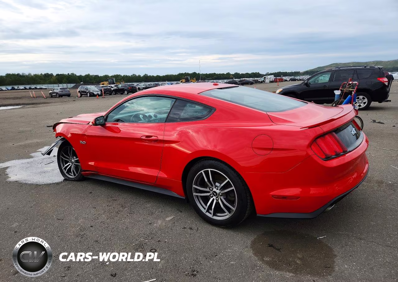 2015 Ford Mustang Gt VIN:1FA6P8CF8F5406324 - 2