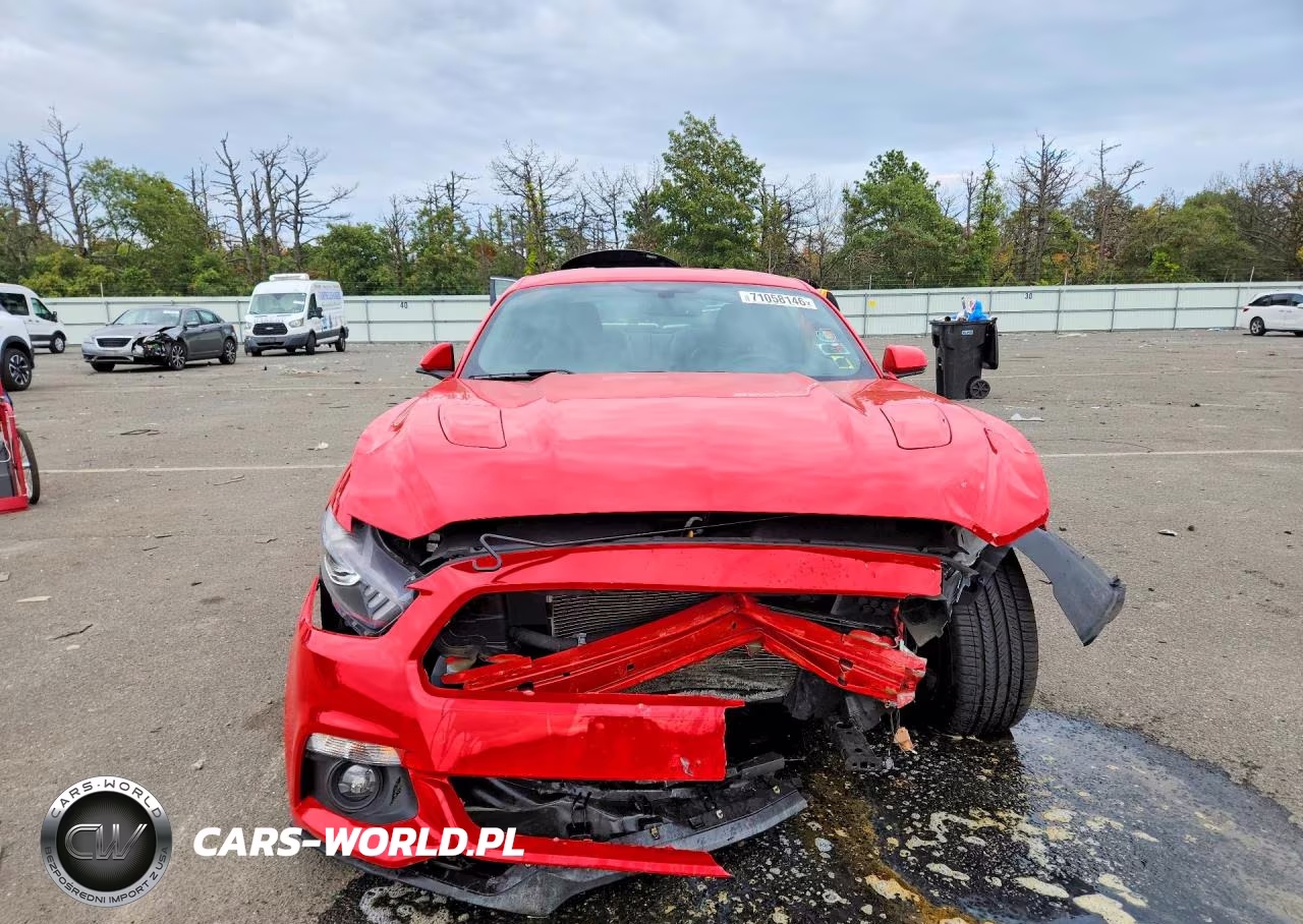 2015 Ford Mustang Gt VIN:1FA6P8CF8F5406324 - 5