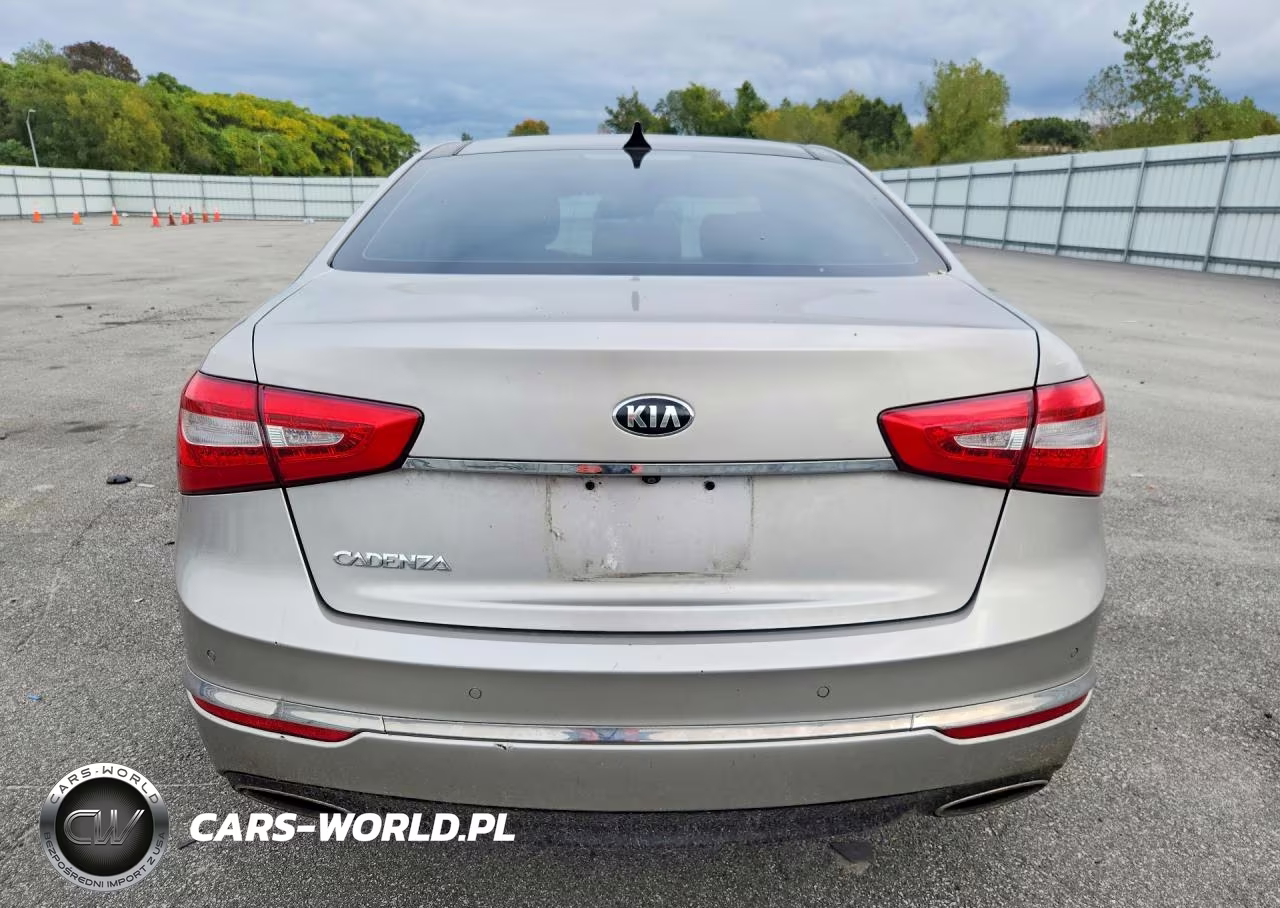 2015 Kia Cadenza Premium VIN:KNALN4D72F5185688 - 6