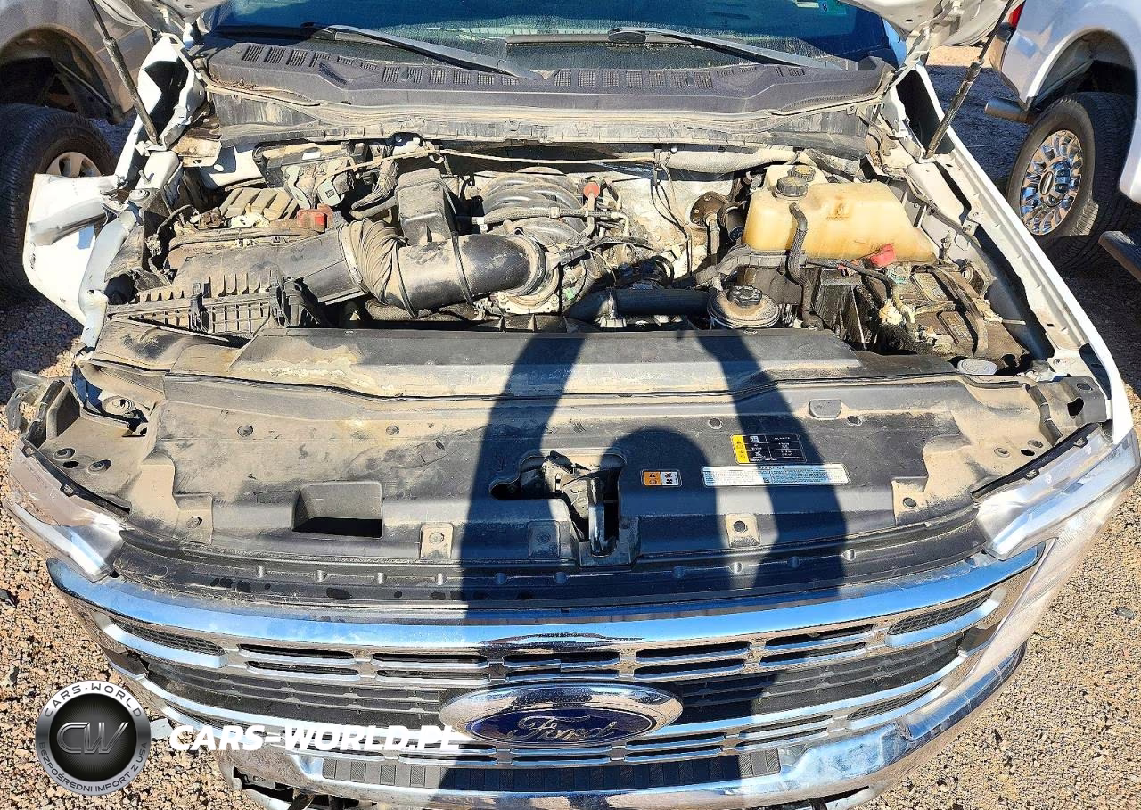 2023 Ford F350 Super Duty VIN:1FDRF3GN2PED49128 - 11