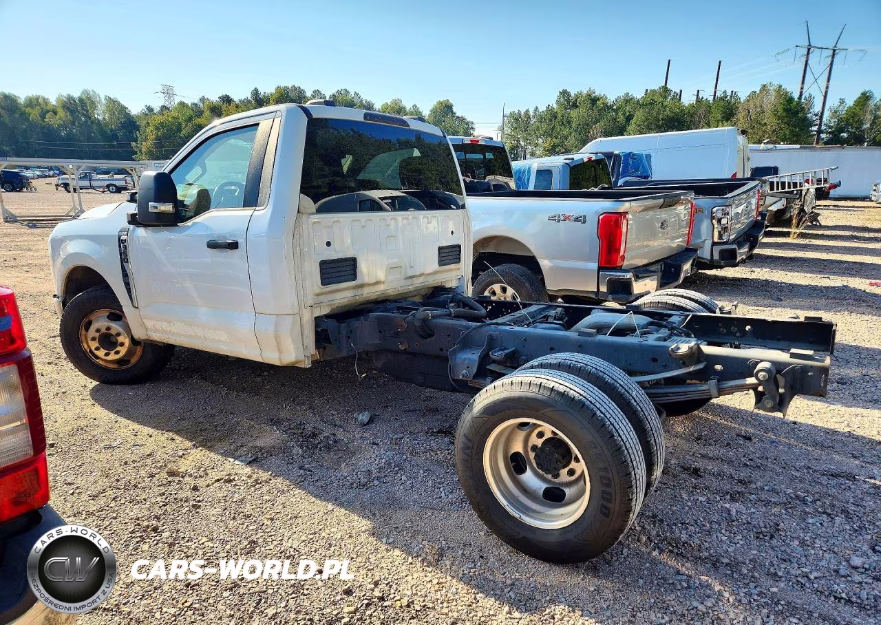 2023 Ford F350 Super Duty VIN:1FDRF3GN2PED49128 - 2