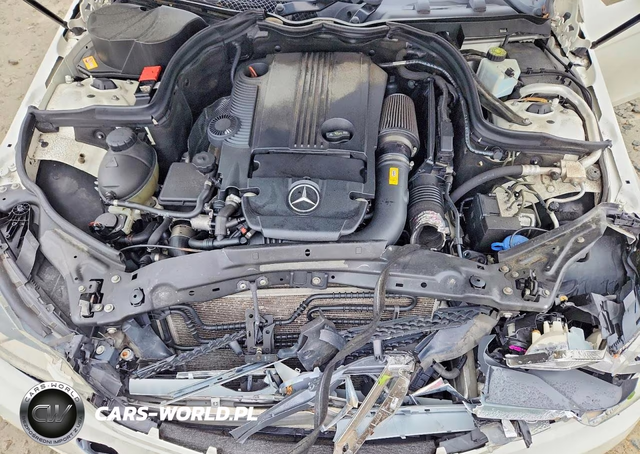 2013 Mercedes-Benz C 250 VIN:WDDGJ4HB7DF999461 - 11