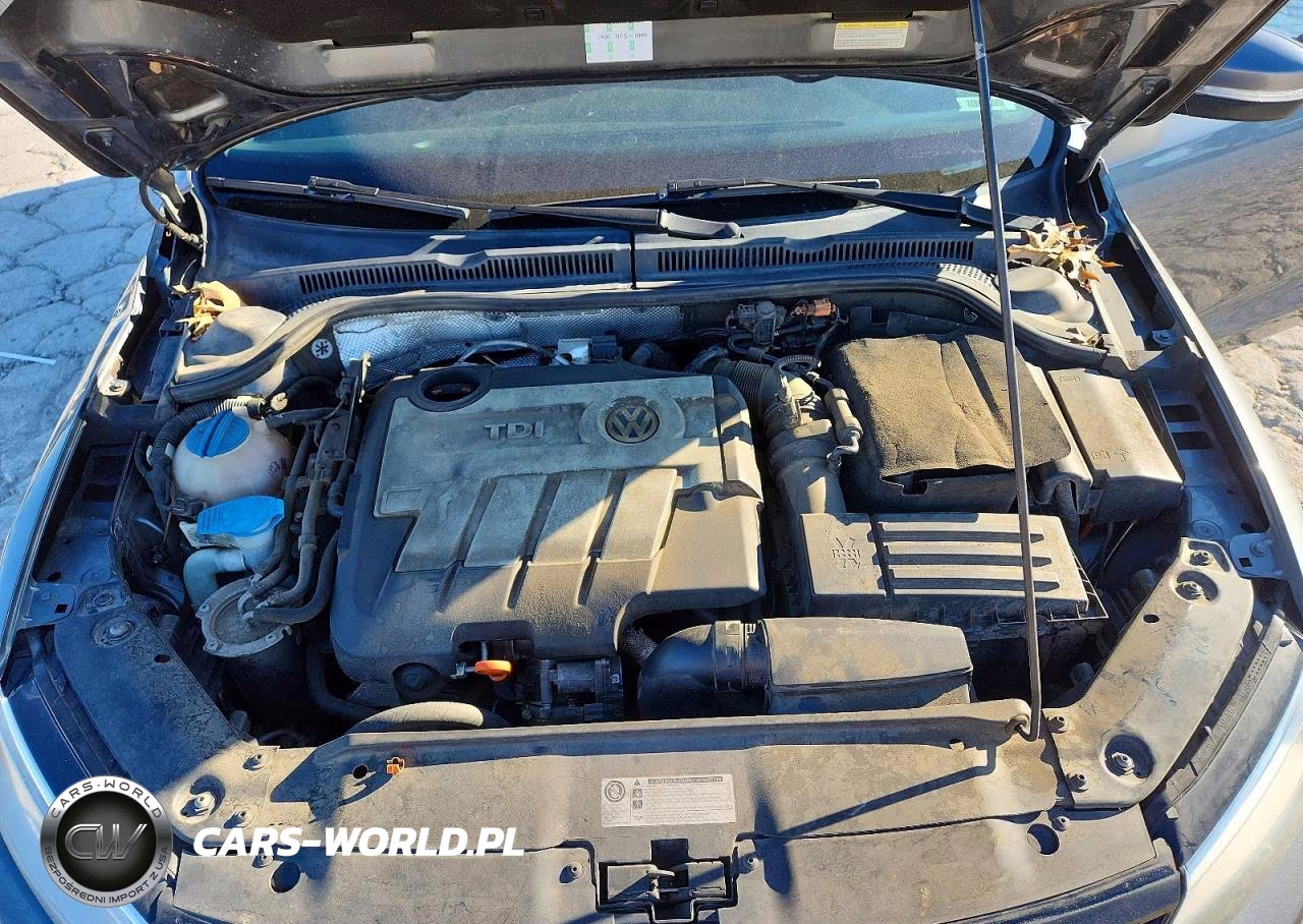 2013 Volkswagen Jetta Tdi VIN:3VWLL7AJ5DM359008 - 11