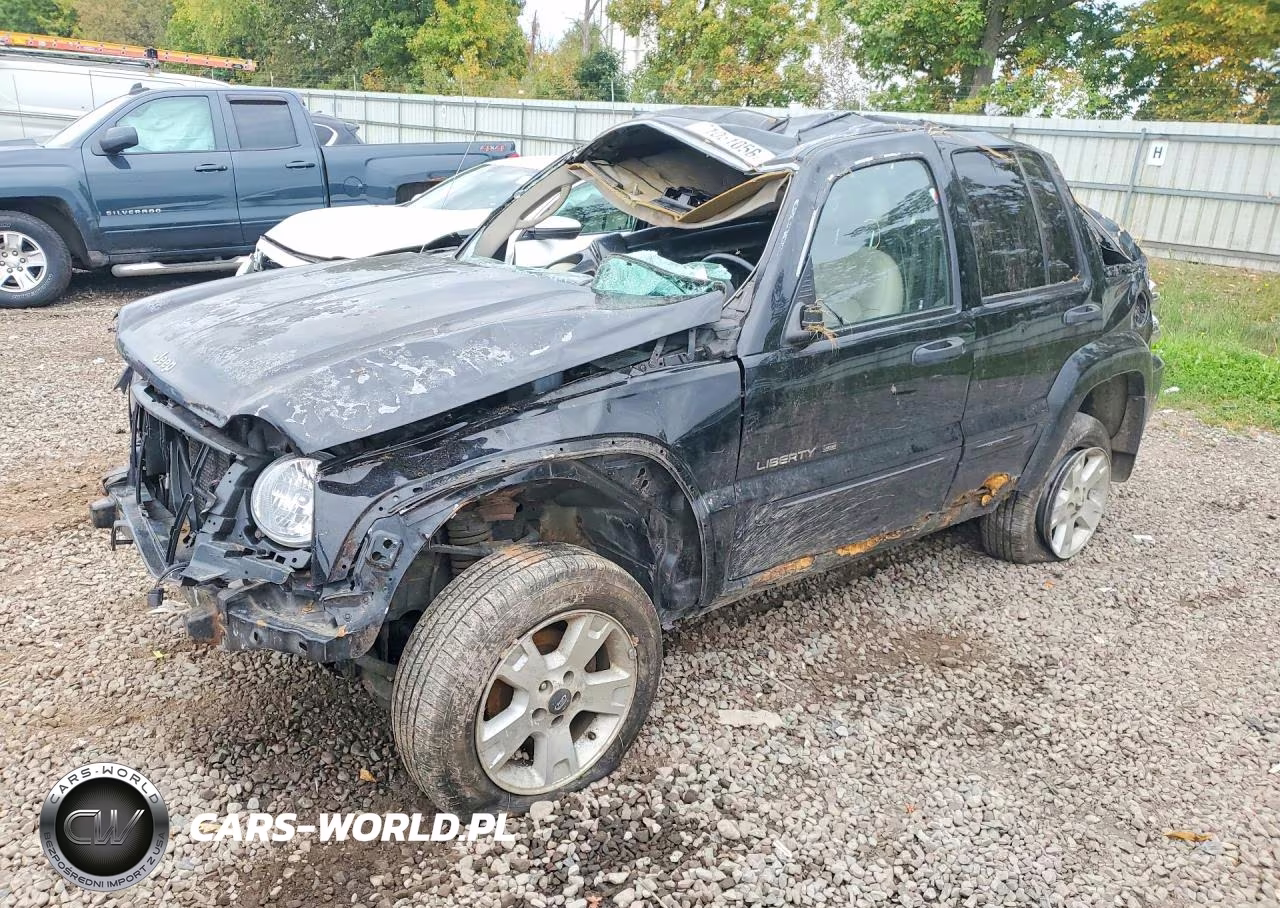 2002 Jeep Liberty Limited VIN:1J4GL58K72W324985 - 1