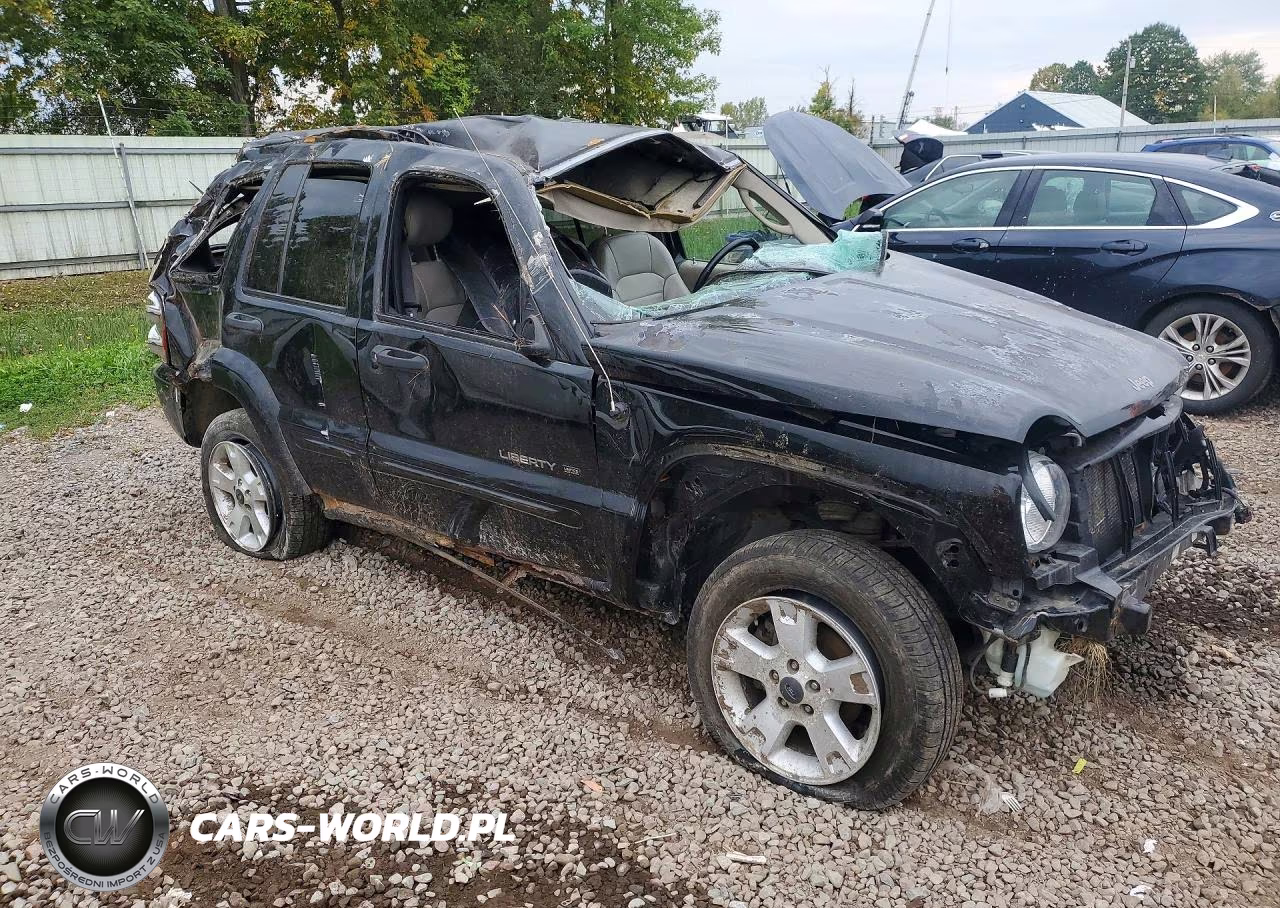 2002 Jeep Liberty Limited VIN:1J4GL58K72W324985 - 4