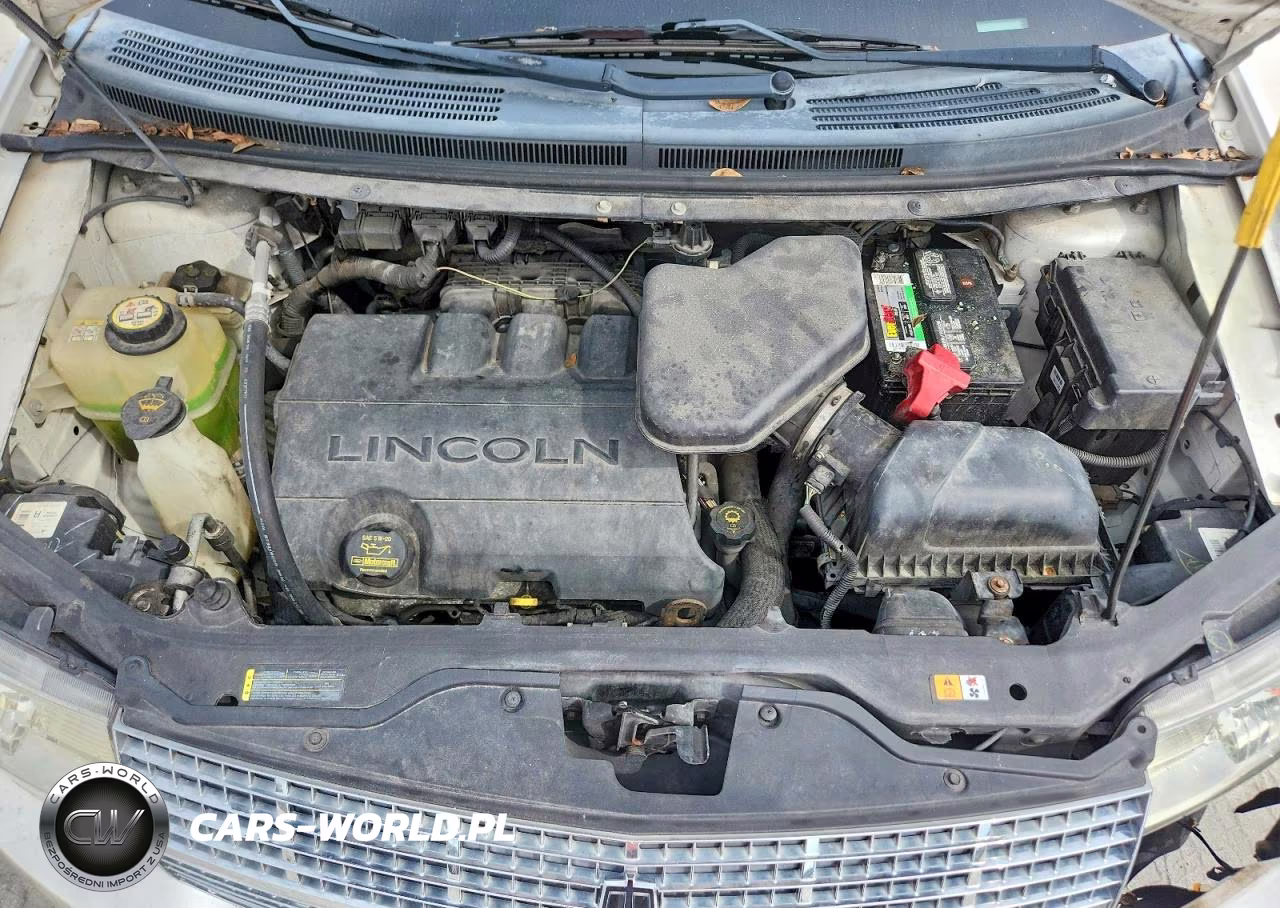 2009 Lincoln Mkx VIN:2LMDU68C29BJ02337 - 12
