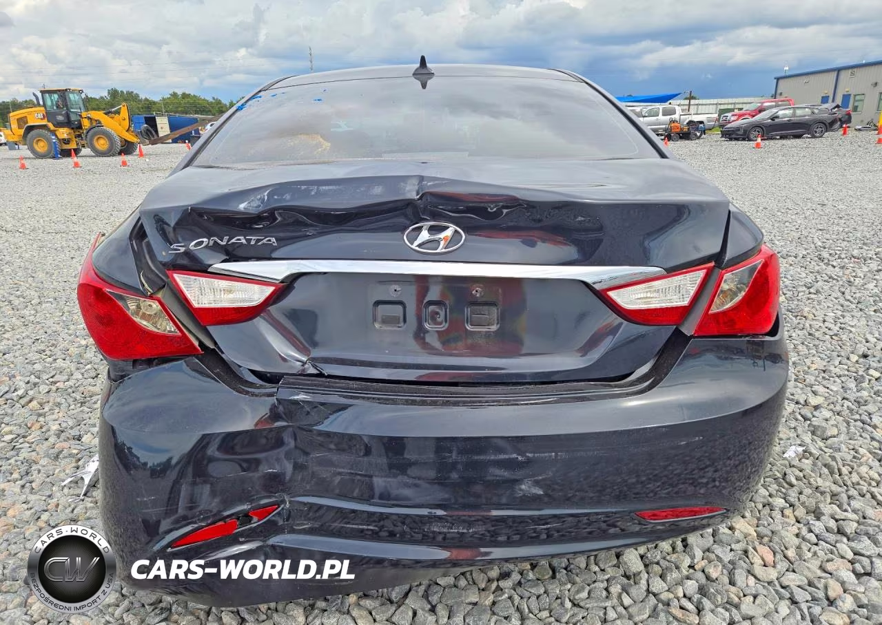 2013 Hyundai Sonata Gls VIN:5NPEB4AC5DH699697 - 6
