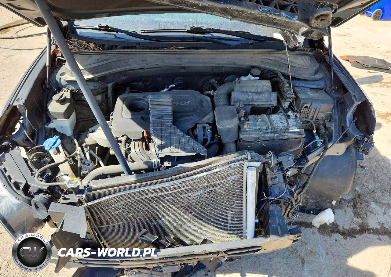 2020 Hyundai Santa Fe Sel VIN:5NMS3CAD9LH180540 - 12