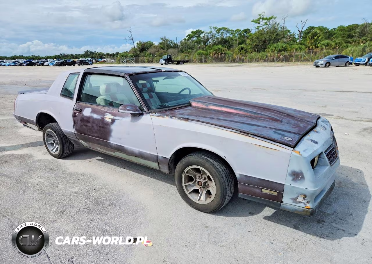 1987 Chevrolet Monte Carlo VIN:1G1GZ11G1HP116759 - 4