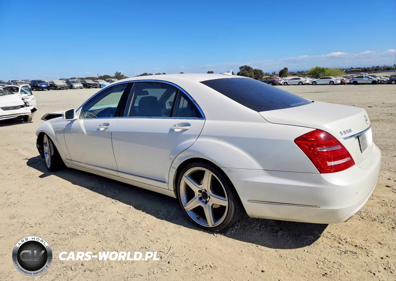 2010 Mercedes-Benz S 550 VIN:WDDNG7BB8AA347361 - 2