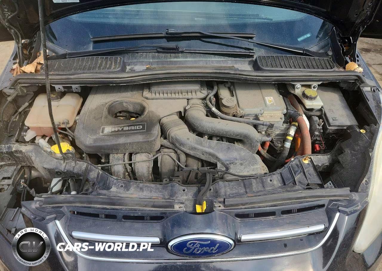 2015 Ford C-Max Se VIN:1FADP5AU6FL111208 - 11