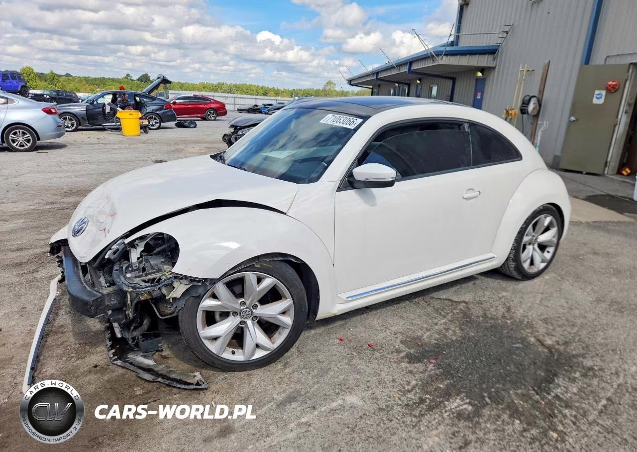2014 Volkswagen Beetle VIN:3VWJP7ATXEM607395 - 1