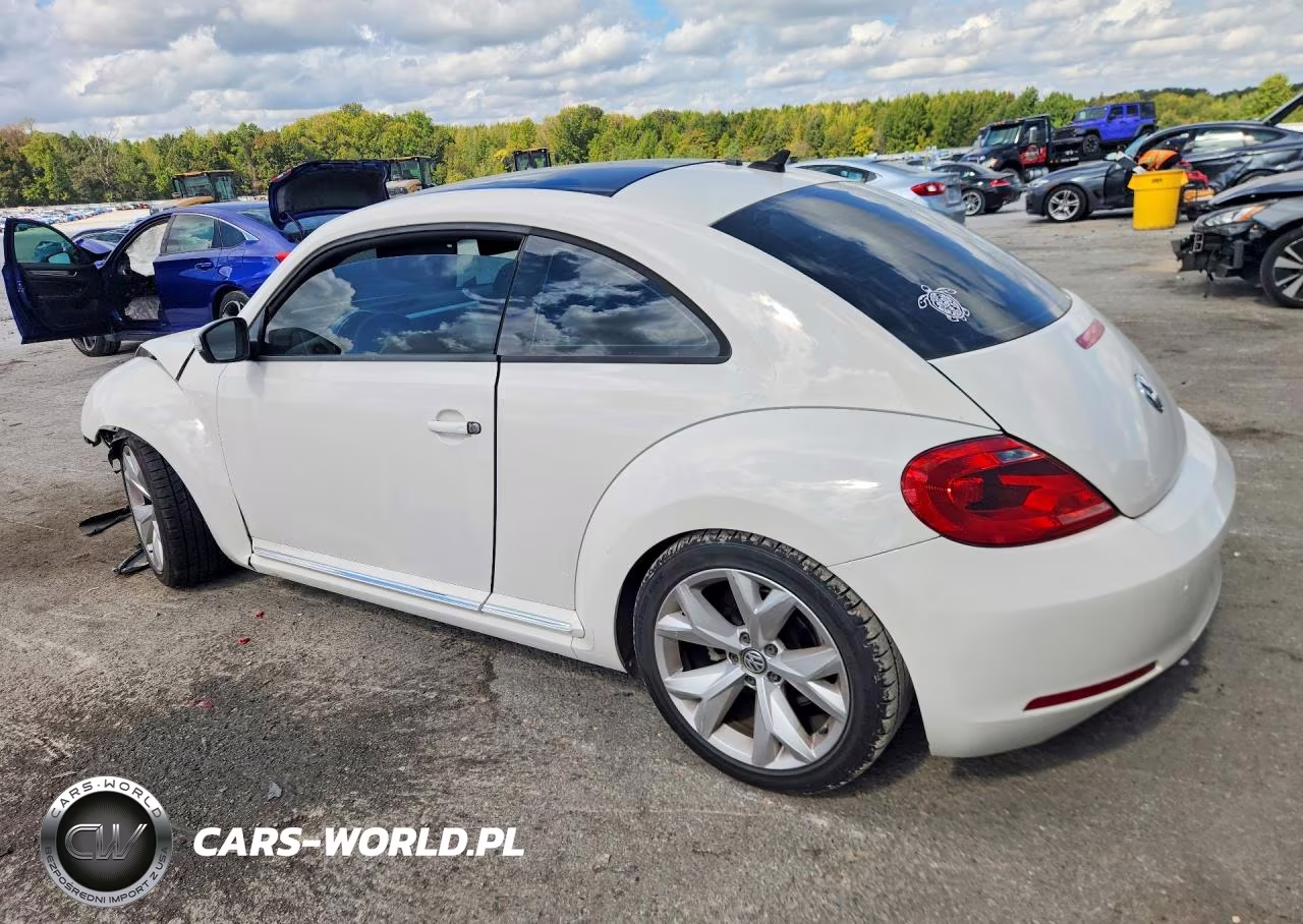 2014 Volkswagen Beetle VIN:3VWJP7ATXEM607395 - 2