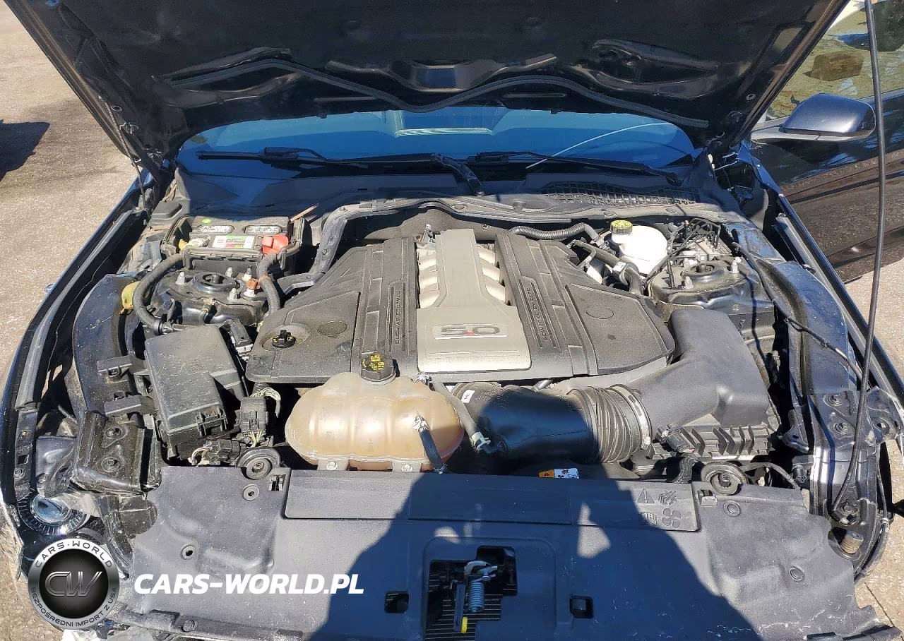 2019 Ford Mustang Gt VIN:1FA6P8CF8K5132357 - 11