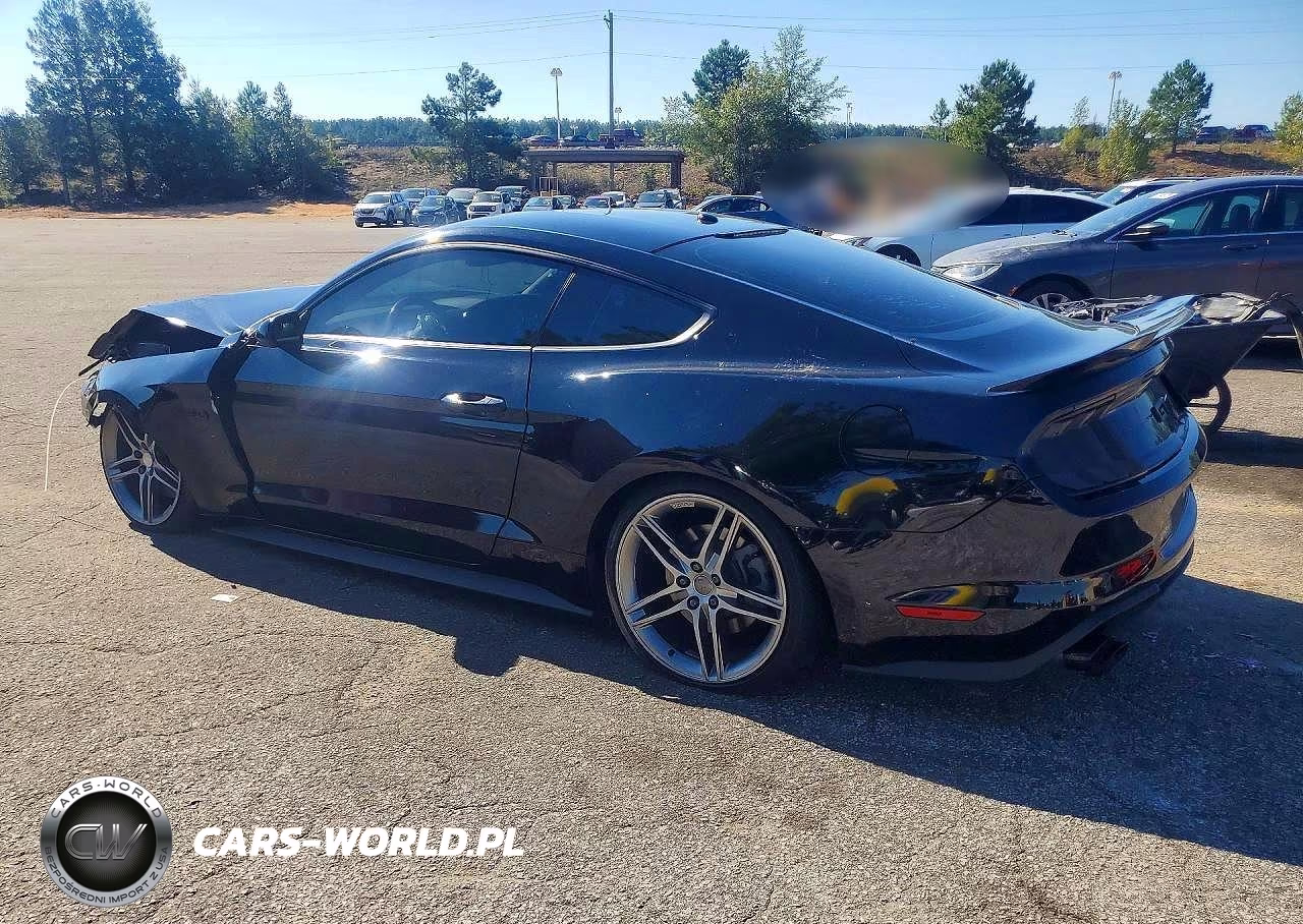 2019 Ford Mustang Gt VIN:1FA6P8CF8K5132357 - 2