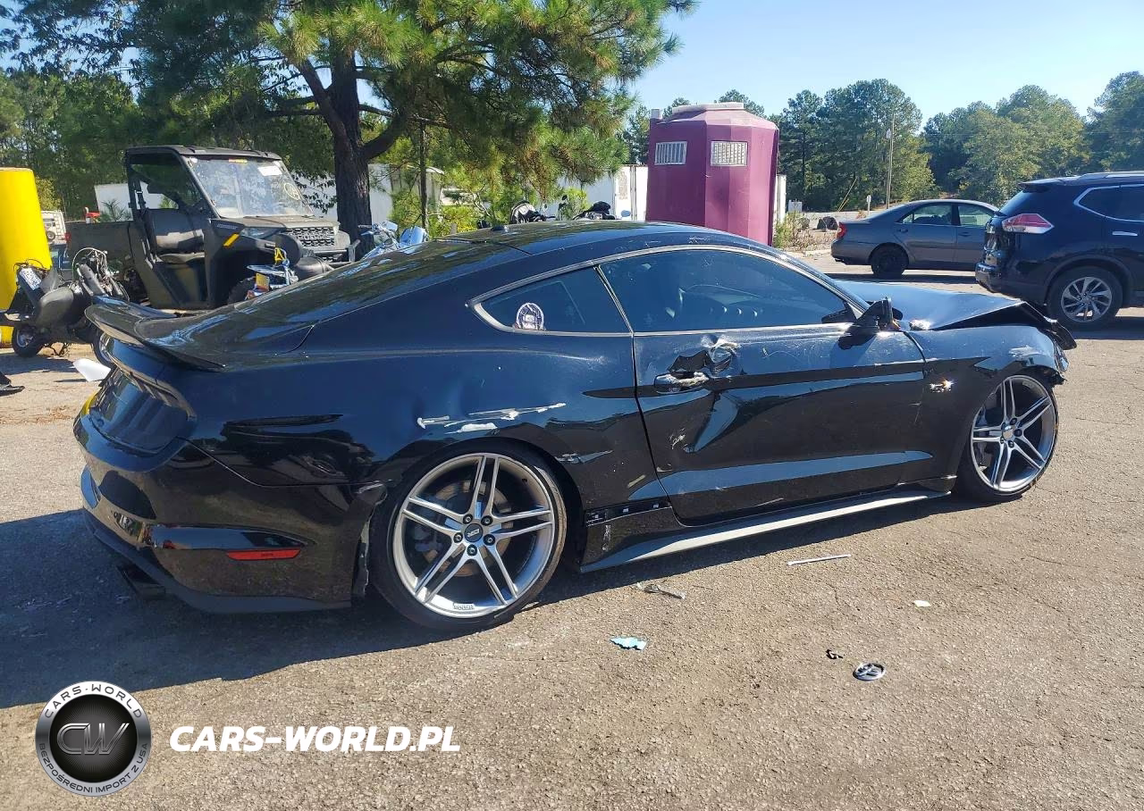 2019 Ford Mustang Gt VIN:1FA6P8CF8K5132357 - 3